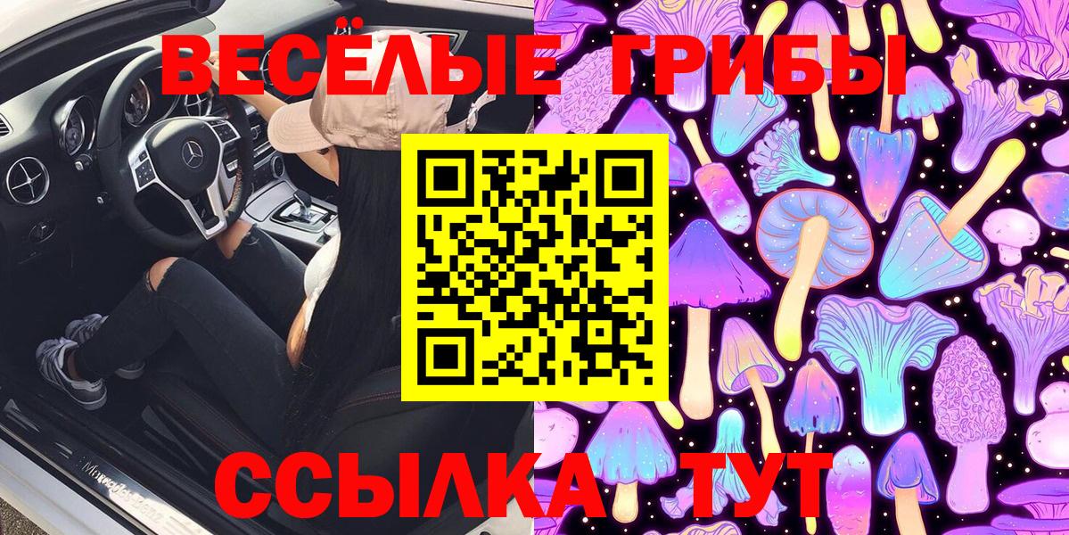 Галлюциногенные грибы GOLDEN TEACHER  Галлюциногенные грибы прущие грибы  Курчатов  Вход с VPN 